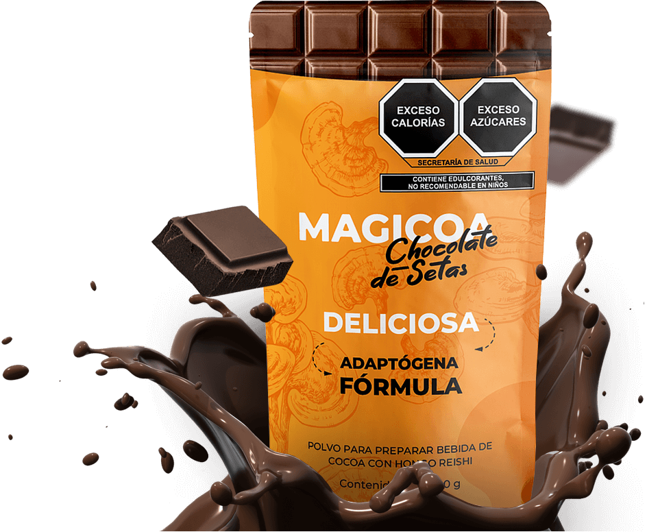 MAGICOA - El Protocolo que Reconecta tus Dos Cerebros
