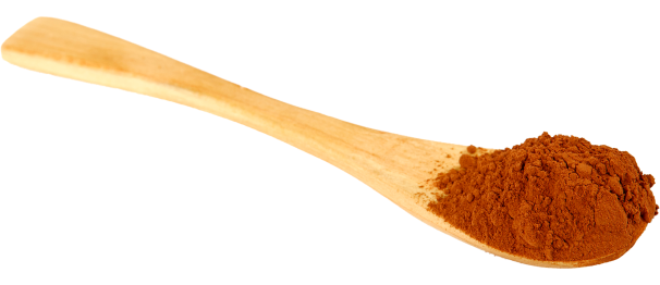 Cuchara