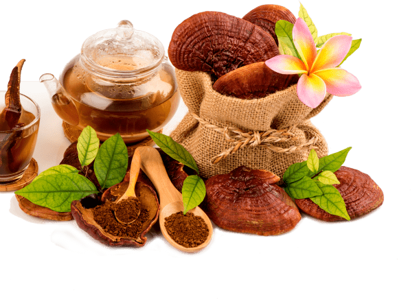 Té decorativo